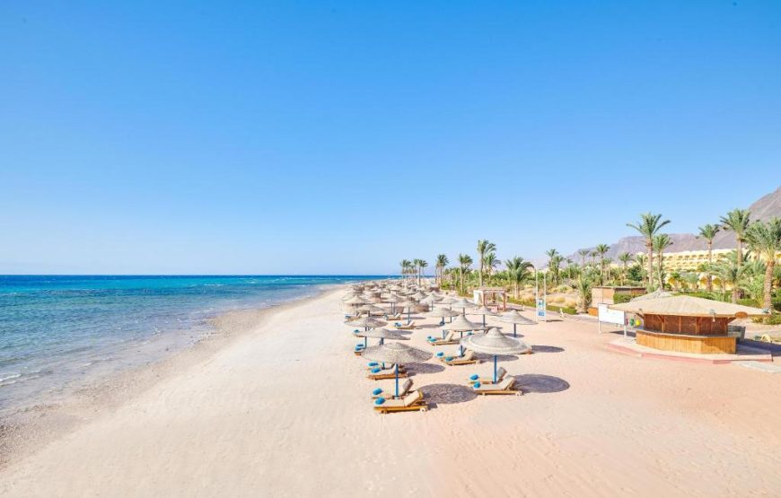 MOSAIQUE TABA HEIGHTS